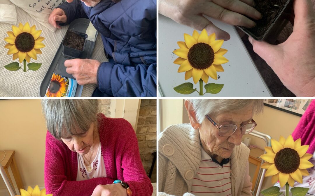 Sunshine, Songs and Sunflower Planting at Ashfield